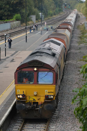 66006 ews