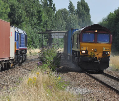 66414 &
                66034