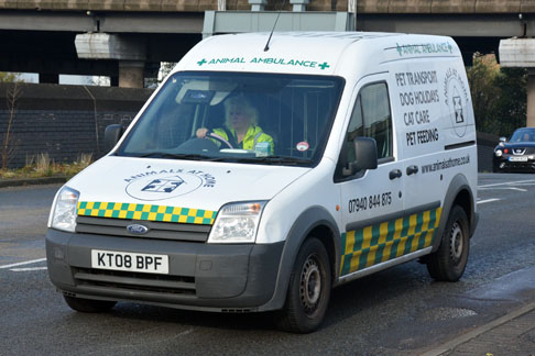 Animal
Ambulance