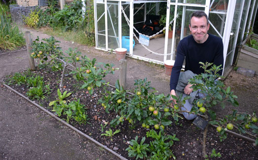 School Gardens