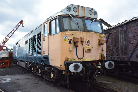 50033