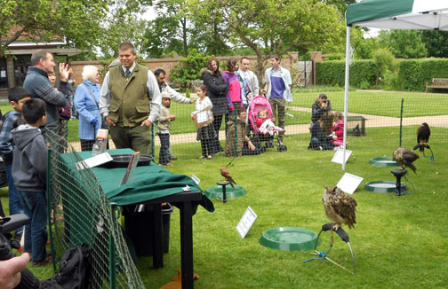 Falconary Day