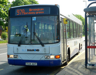 Blue
                Diamond Bus T134AST