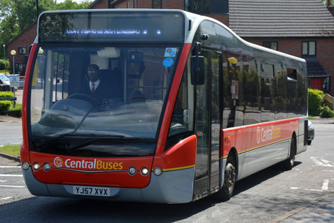 Central
                  Buses