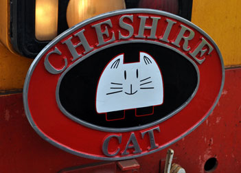 Cheshire Cat
        headboard