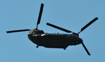 Chinook