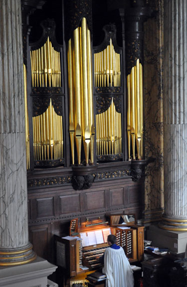 The Organ