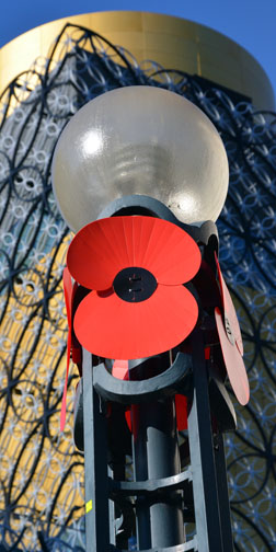 Remembrance Poppy