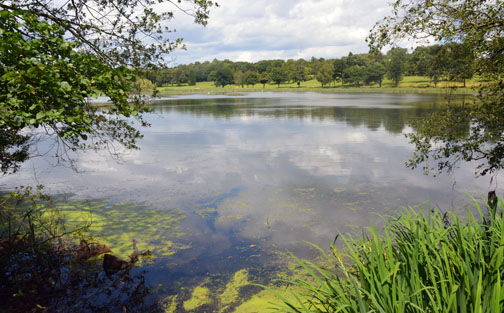 Edgbaston Reservoir