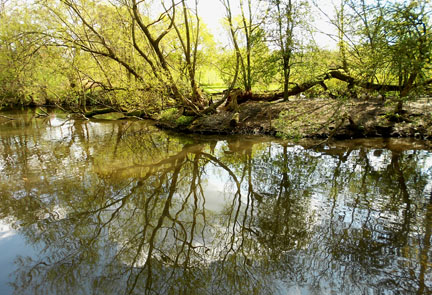 Elmdon
Park