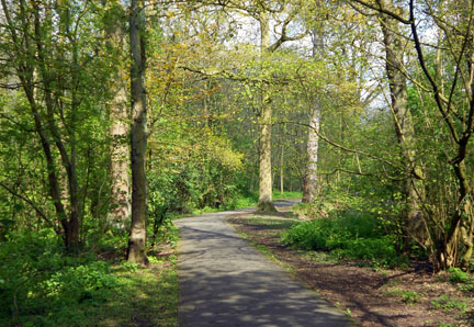 Elmdon
Park