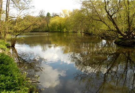 The
Lake