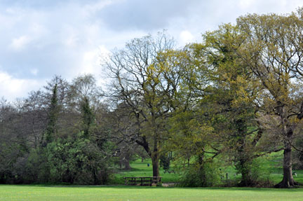 Elmdon
                  Park