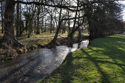 Elmdon
                  Park the stream