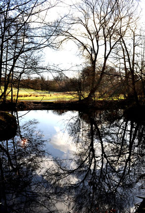 Elmdon
                  Park Lake