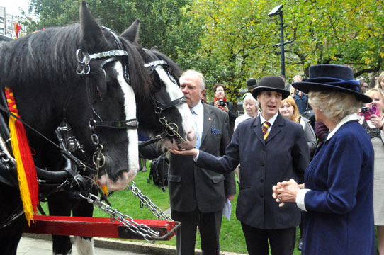 HRH Duchess of
            Cornwall