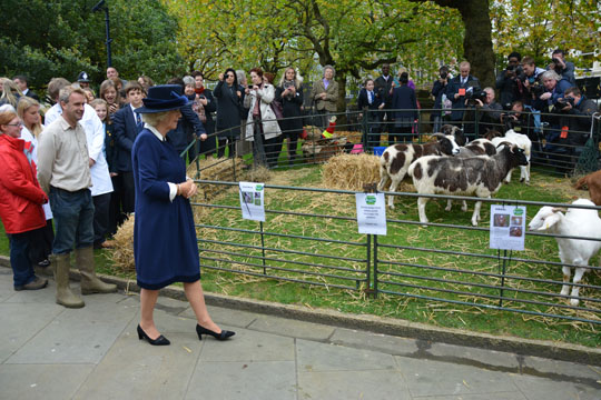 HRH Duchess of Cornwall