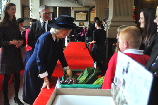 Harvest Boxes