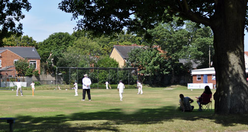 Sheldon
            Marlborough Cricket Club