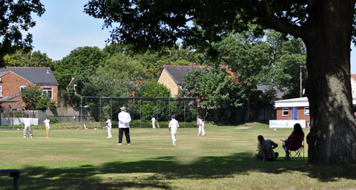 Sheldon
            Marlborough Cricket Club