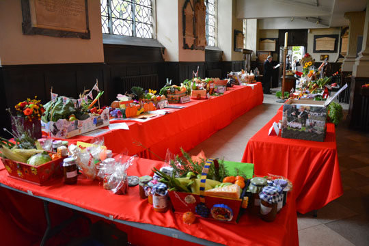 Harvest Boxes