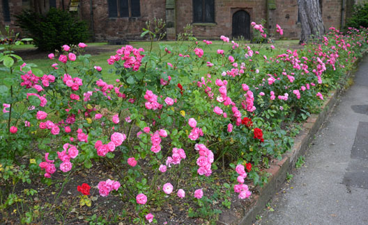 Church path