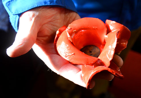 Ceramic
                Poppy from Tower of London