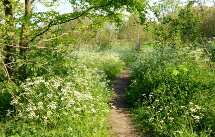 Sheldon
            Country Park in Spring