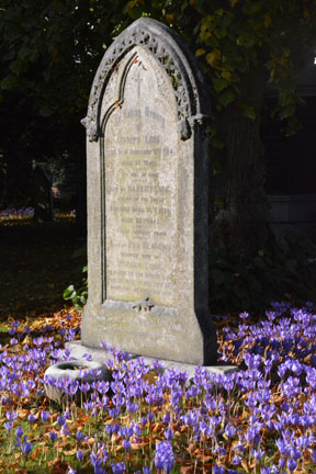 St Alphege -
            Autumn Crocus