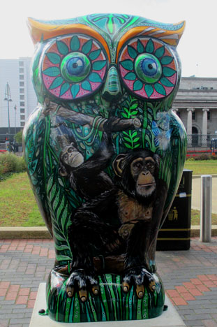 TropicOwl, Centenary Square