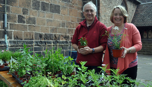 PLant Stall