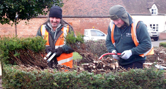 over grown hedges trimmed