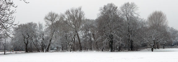 Middle ages Copse