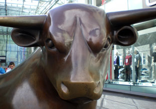 The Bull