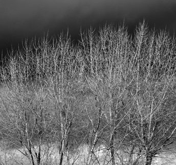 winter